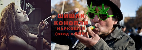 шишки Алексин